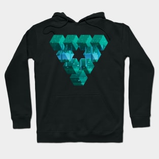 Artistic Geometric Triangle With A Calm Forest Background Hoodie